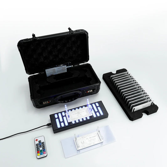 Saber Storage Case